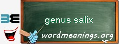 WordMeaning blackboard for genus salix